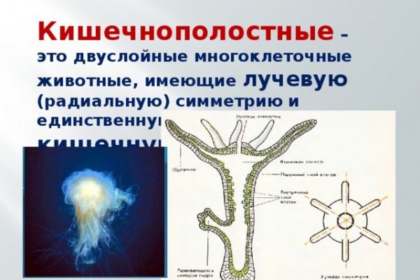 Что за кракен маркет