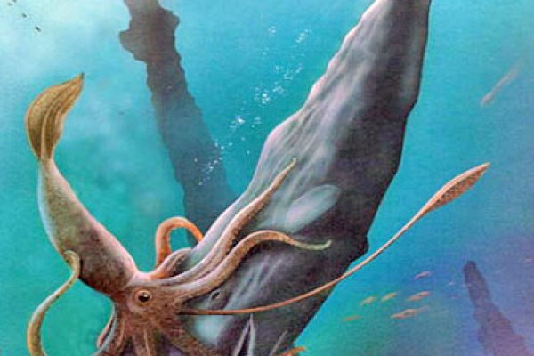Ссылка для входа на сайт kraken