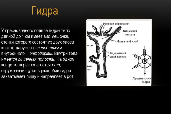 Kraken 19 at сайт
