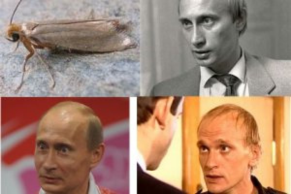 Кракен онлайн