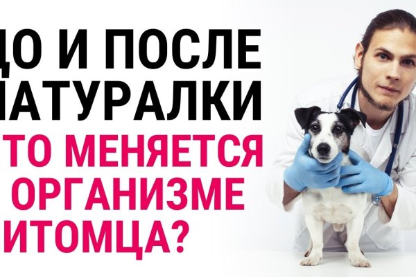 Kraken актуальные зеркала krakentor site