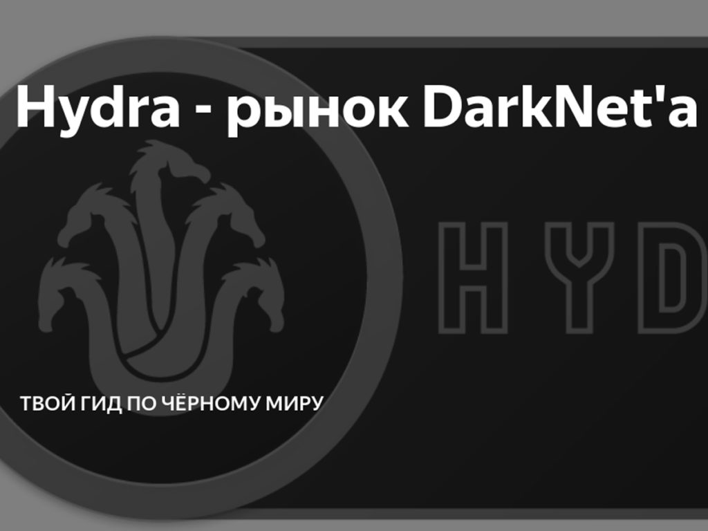 Пользователь не найден кракен