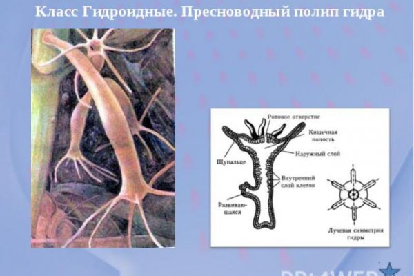 Рабочее зеркало кракен